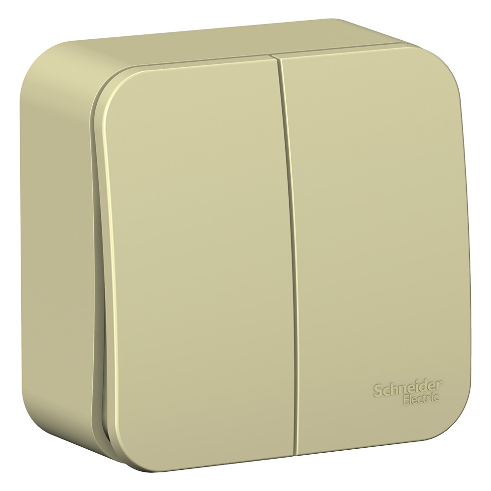 Systeme Electric Blanca наруж Беж Выключатель 2-клавишный (cх.5) изолир. пластина 10А, 250B