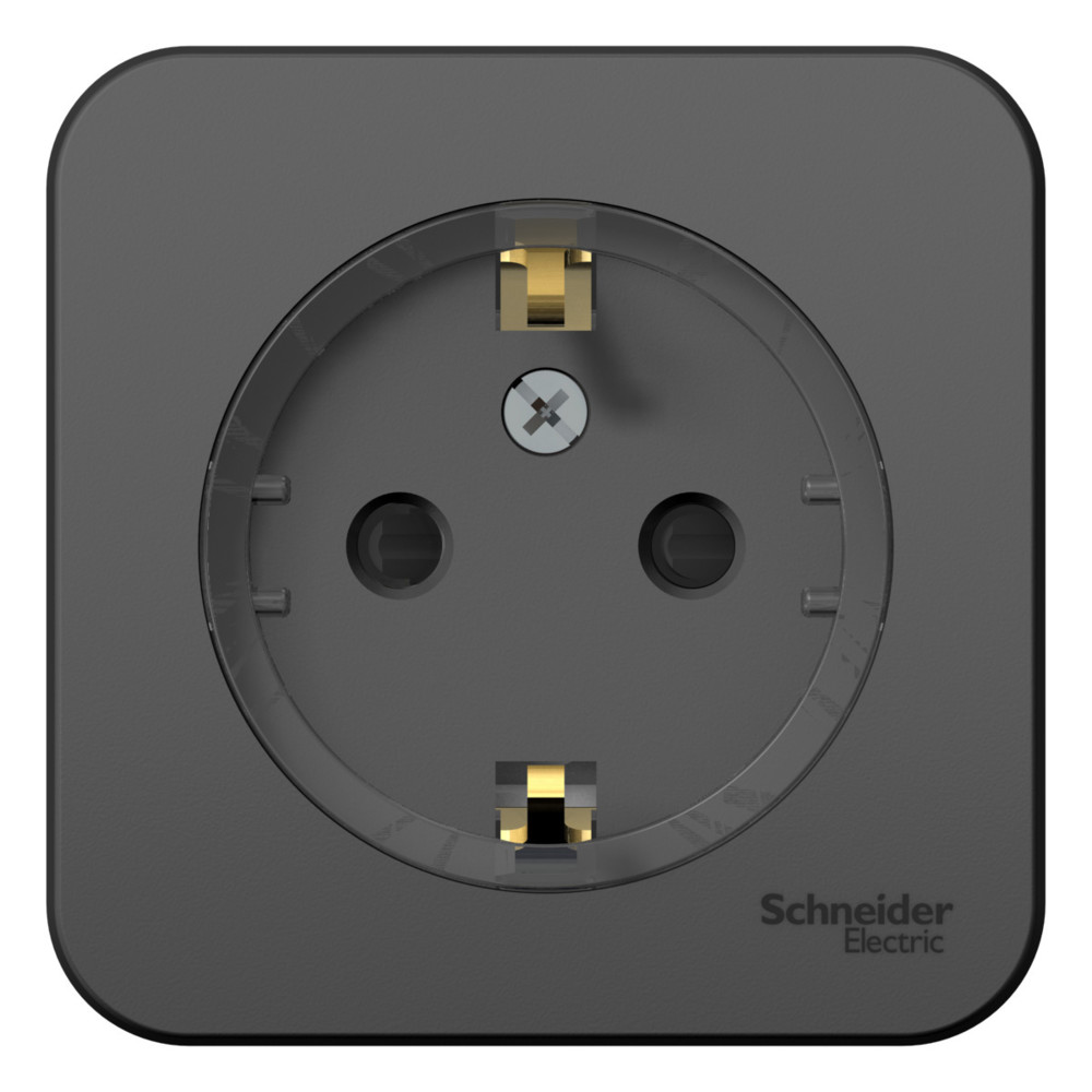 Systeme Electric Blanca наруж Антрацит Розетка с/з со шторками, (тонкая) 16А, 250В, изолир. пластина