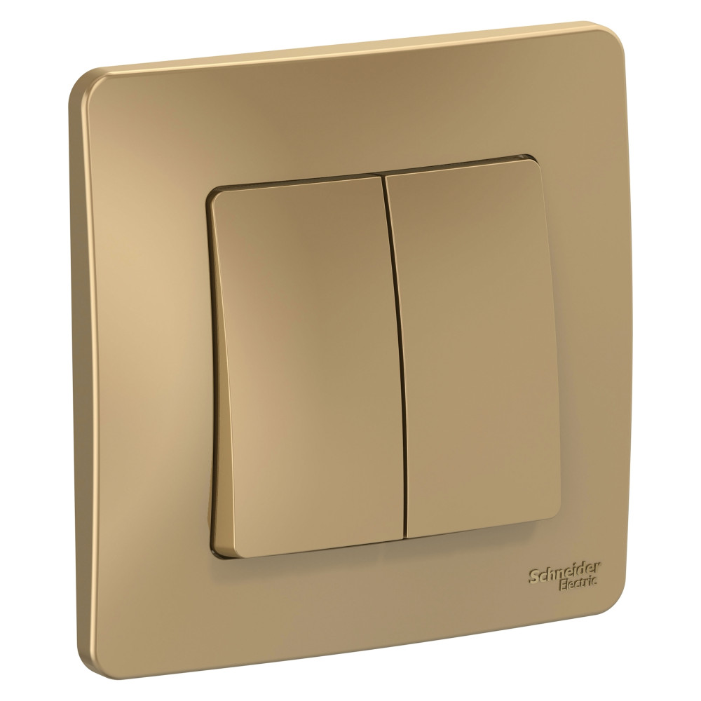 Systeme Electric Blanca внутр Титан Выключатель 2-клавишный, 10А, 250B