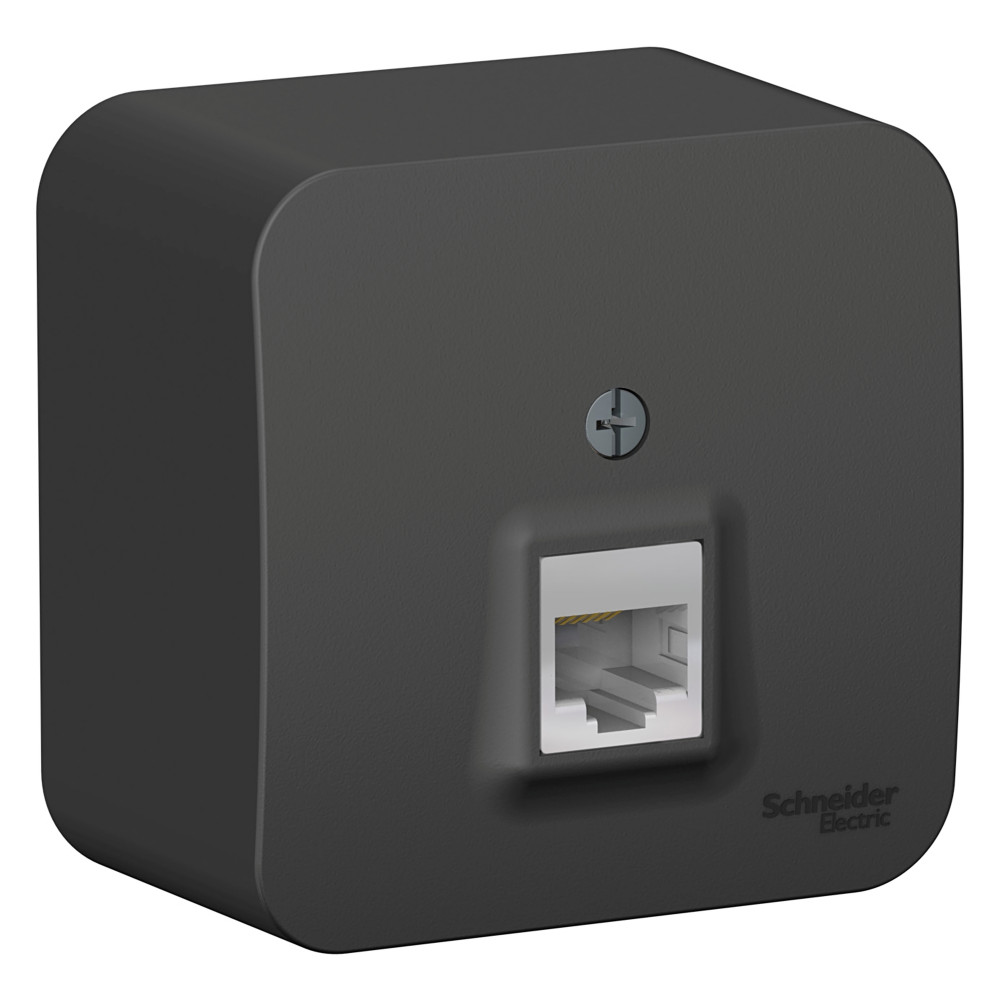 Systeme Electric Blanca наруж Антрацит Розетка компьютерная RJ45, кат.5E, изолир. пластина