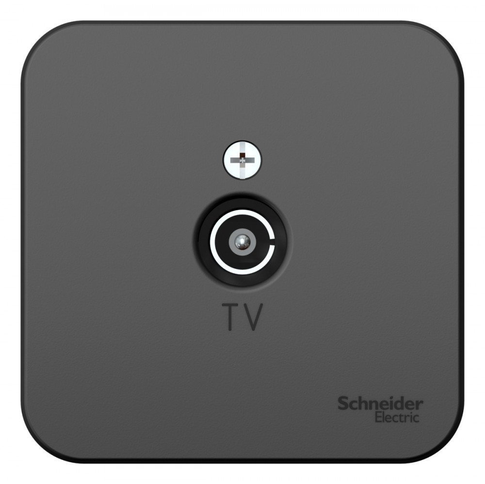 Systeme Electric Blanca наруж Антрацит Розетка TV, изолир. пластина