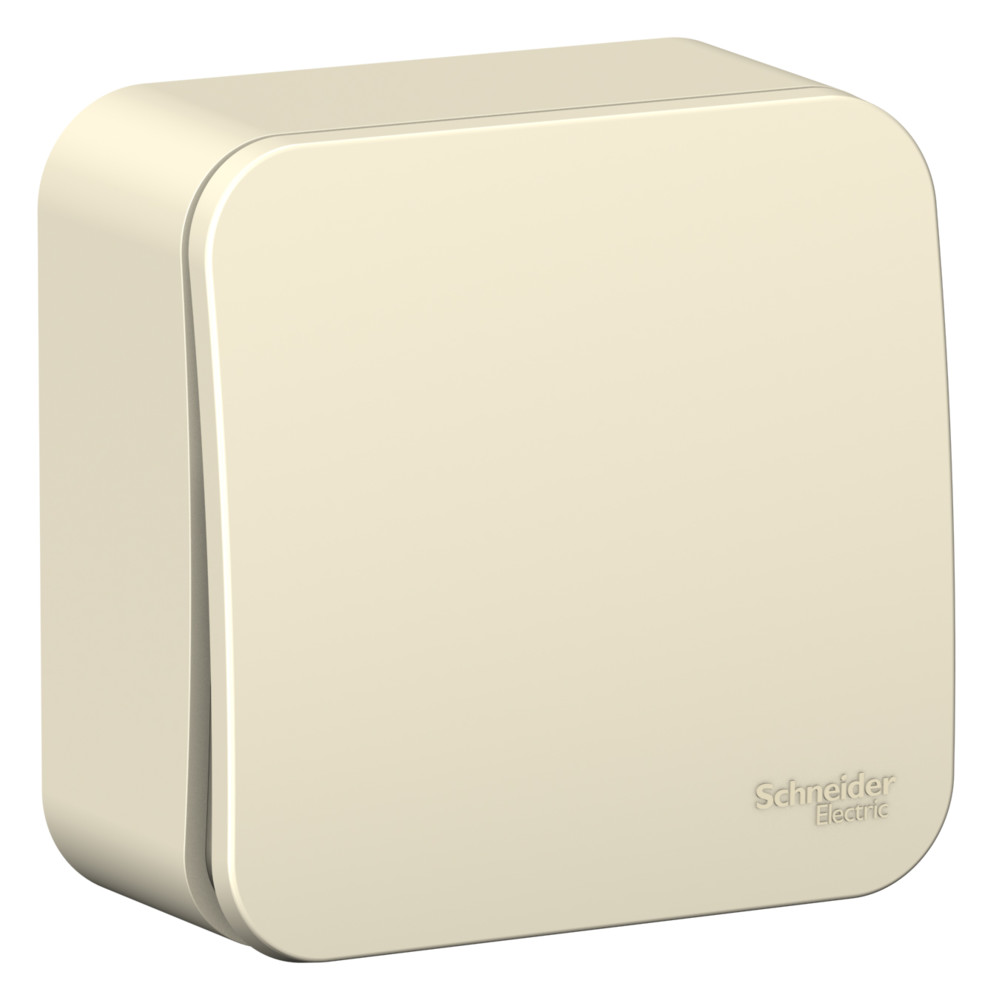 Systeme Electric Blanca наруж Молочный Выключатель 1-клавишный с самовозвратом, 10А, 250В, изолир. пластина