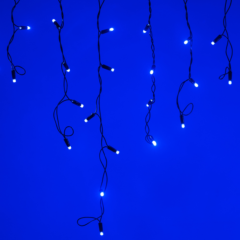 Arlight Светодиодная гирлянда ARD-EDGE-CLASSIC-2400x600-BLACK-88LED-FLASH BLUE (230V, 6W) (Ardecoled, IP65)