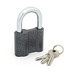 Замок навесной PALLADIUM 601S-60 (6/60 шт) Замок навесной PALLADIUM 601S-60 (6/60 шт)